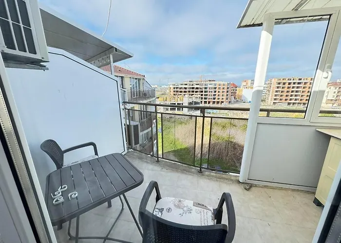 Daire Pomorian Pearl *